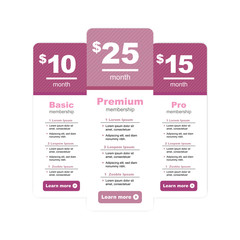Premium Pricing and Membership Graphic w Different Options and Plans