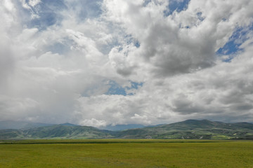 California Spring Superbloom