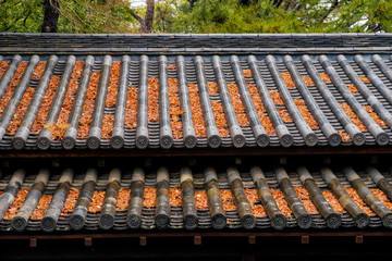 Amazing beautiful temple in japan