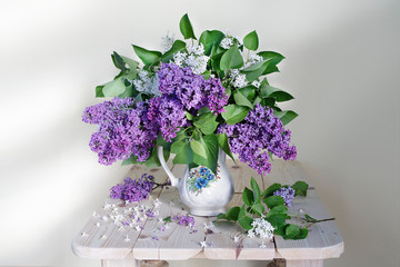 A large bouquet of lilac in a white vase on a white background.Spring still life