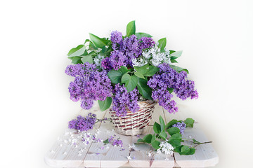 A large bouquet of lilac in a white vase on a white Spring still life