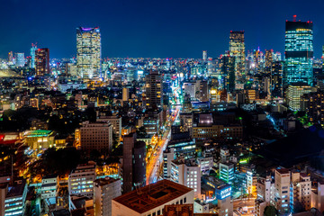 Fototapeta na wymiar Japan cityscape bird eye view at night