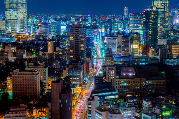 Japan cityscape bird eye view at night