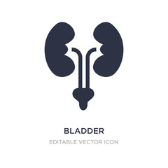 bladder icon on white background. Simple element illustration from Medical concept.