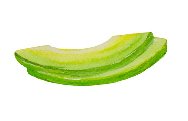 Avocado painting.Painted with watercolor.