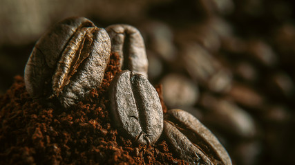 ground coffee poured into the holder on which the grains of roasted, fragrant coffee lie. on the background of fried grains