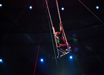 performance of air acrobats in the circus.