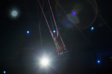 performance of air acrobats in the circus.