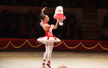 performance of a dog trainer in a circus.
