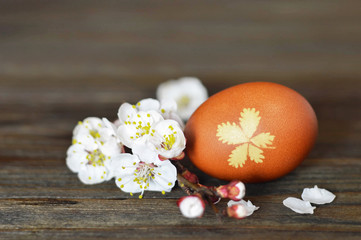 Easter egg and spring flowers on wooden background