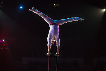 performance of air acrobats in the circus.
