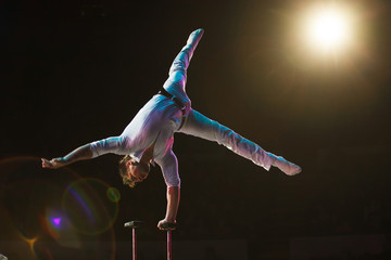 performance of air acrobats in the circus.