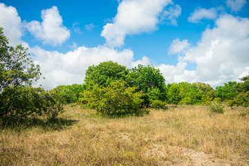 A view of the countryside of Itamaraca island - Pernambuco state, Brazil