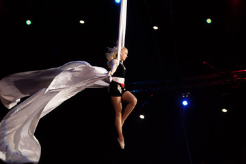 performance of air acrobats in the circus.