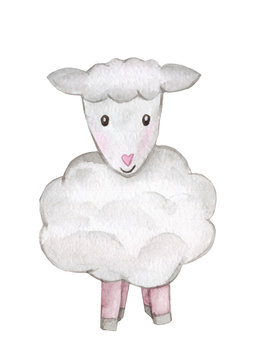 Lamb Sheep Watercolor Illustration. Hand drawn cartoon young sheep set isolated on white background. Cute illustration of animal for baby style design