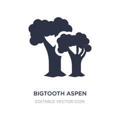 bigtooth aspen tree icon on white background. Simple element illustration from Nature concept.