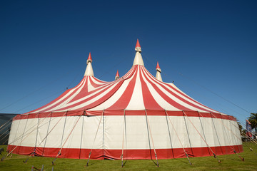 circus tent - 256693430