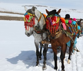 On the frozen lake, fish hunters and horseback people - Cildir Lake, Kars-Ardahan