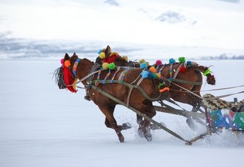 On the frozen lake, fish hunters and horseback people - Cildir Lake, Kars-Ardahan