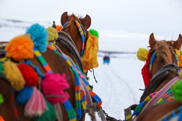 Horses of phaeton running at full gallop on the frozen Cildir Lake (Cildir Golu) in Ardahan nearby...