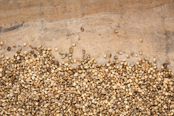 dried hemp seeds on grunge background