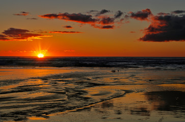 Wet sand reflecting a beautiful orange sunset with birds watching