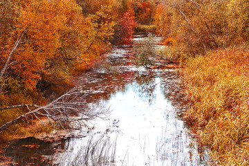 A small narrow river with overgrown runners at the end of summer.