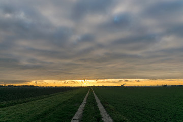 Fototapeta na wymiar Soft clouds with waves and billows over the dutch countryside at sunset