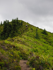 Sendero en la lagoa do fogo.