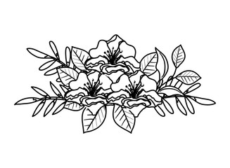 beautiful flowers and leafs decoration