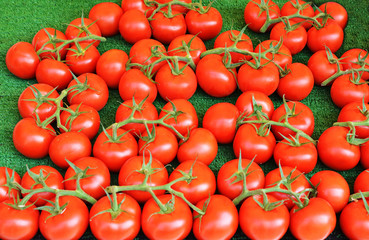 Bunch of fresh tomatoes in market stall.