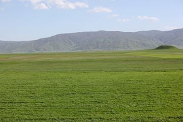 Sunny summer landscape with river.Green hills,fields and meadows