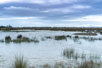 Albufera