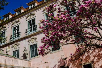Exterior of the Marquês de Pombal Palace with busts and decorative statuary, tree with spring flowers, Oeiras - Portugal
