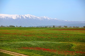 Sunny summer landscape with river.Green hills,fields and meadows