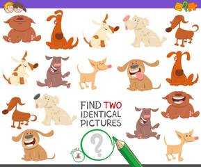 find two identical dogs task for children