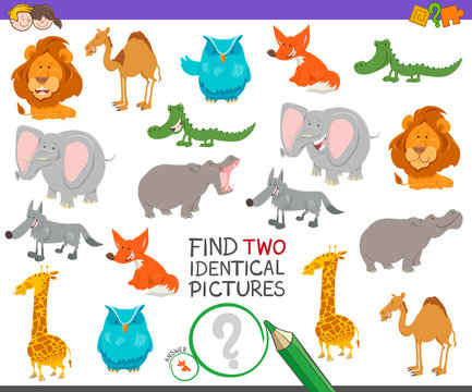 find two identical animals game for children