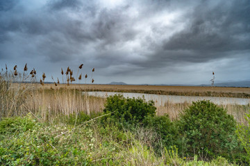 Albufera