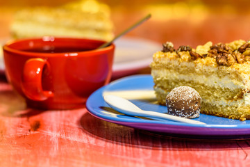 A slice of sponge cake with walnuts close-up.