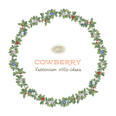 Vector round frame of cowberry leaves, flowers and berries with space for text