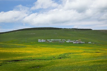 Sunny summer landscape with river.Green hills,fields and meadows
