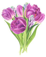 Flowers bouquet with tulips and hyacinths, watercolor painting. For design cards, pattern and textile.