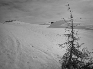 beautiful winter skiins season in sar planina in macedonia