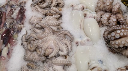 Frischer Tintenfisch auf Eis