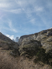Naranjo de Bulnes