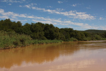 A river in full flood in summer.