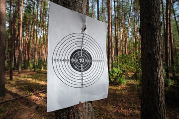 target for shooting outdoors