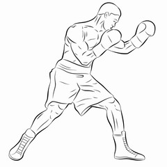 illustration of a boxer, vector draw