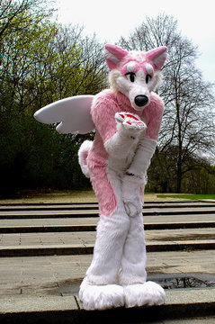 Furry Kostüm in weiss rosa als kleiner Drache mit Flügeln – Stock-Foto |  Adobe Stock
