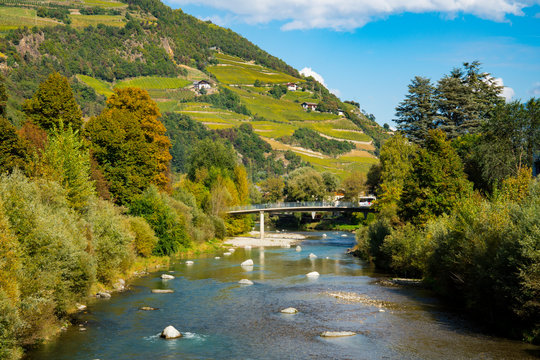 trees in autumn colors along river Isarco (Eisack), Chiusa, Italy